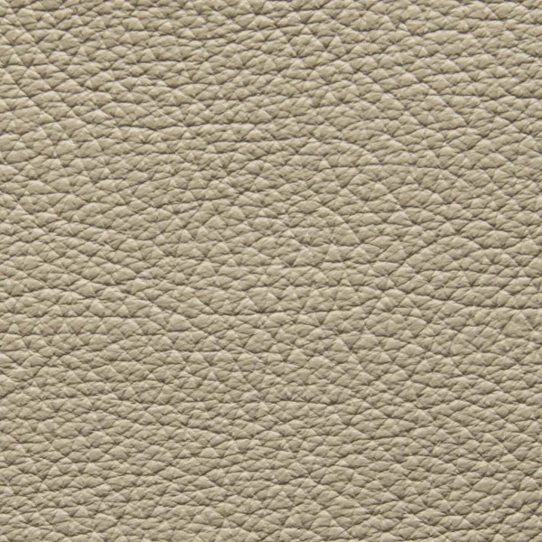 Couro 10A8 Off White